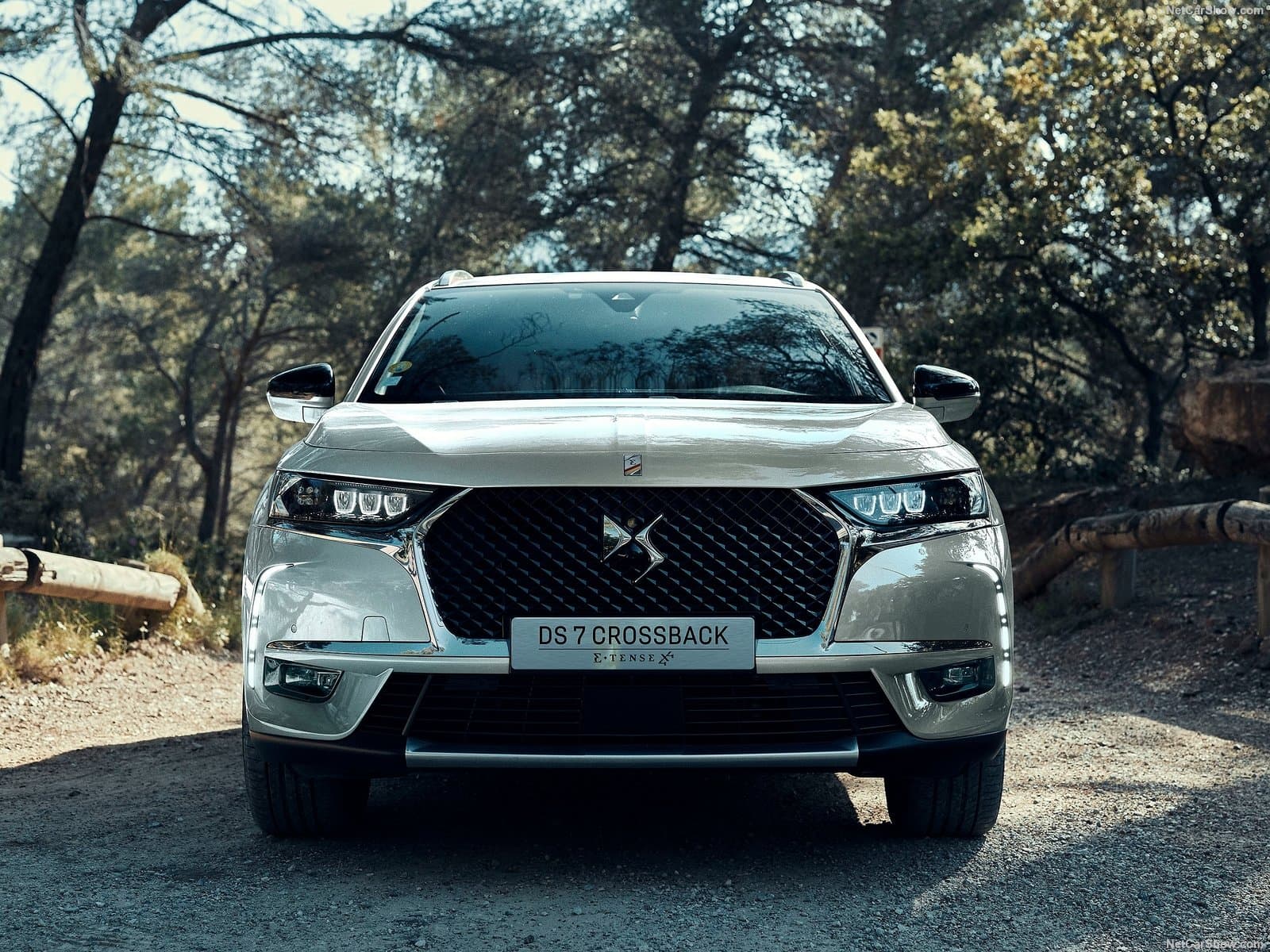 DS7 Crossback E-Tense